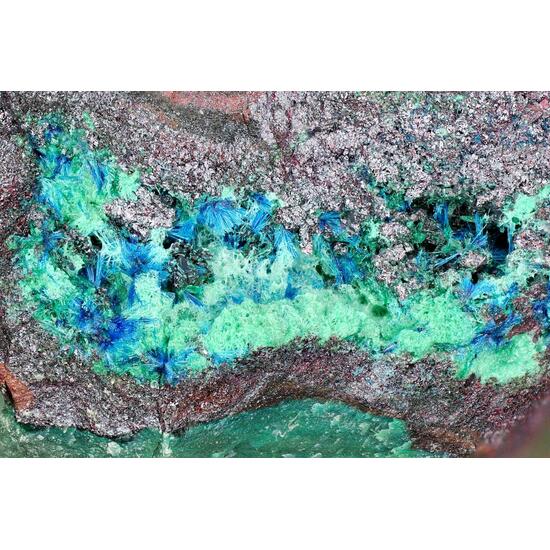 Connellite Cuprite & Brochantite