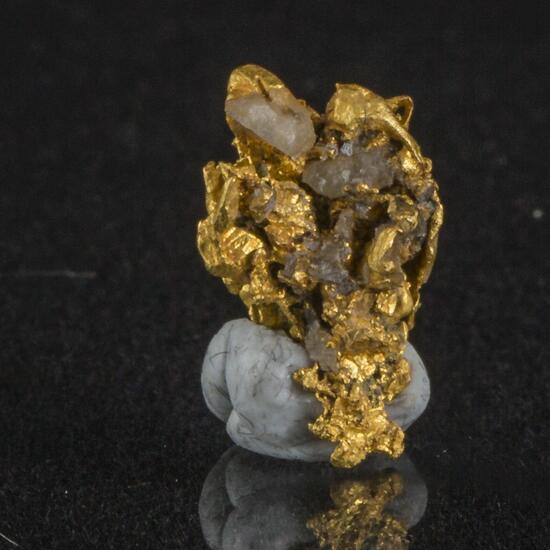 Gold
