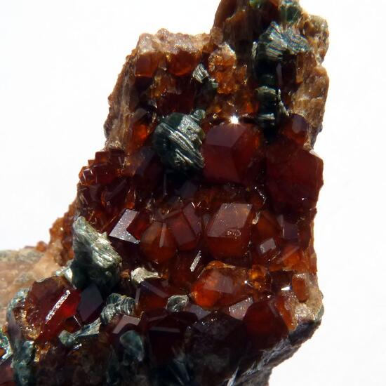Garnet