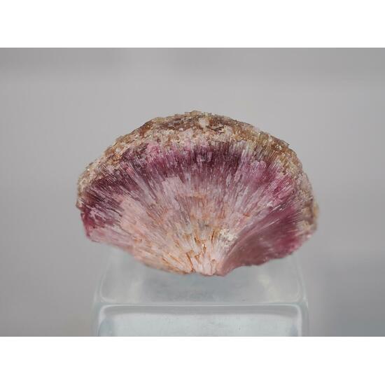 Rubellite Tourmaline