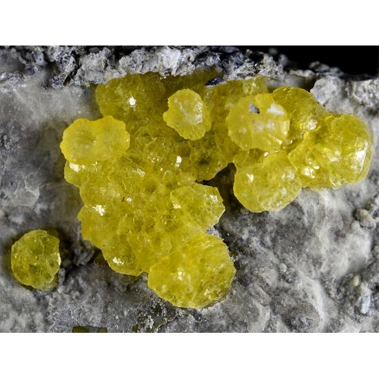 Brucite