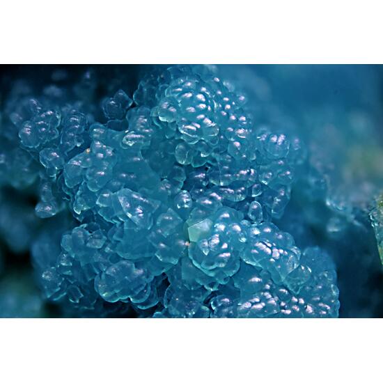 Chrysocolla
