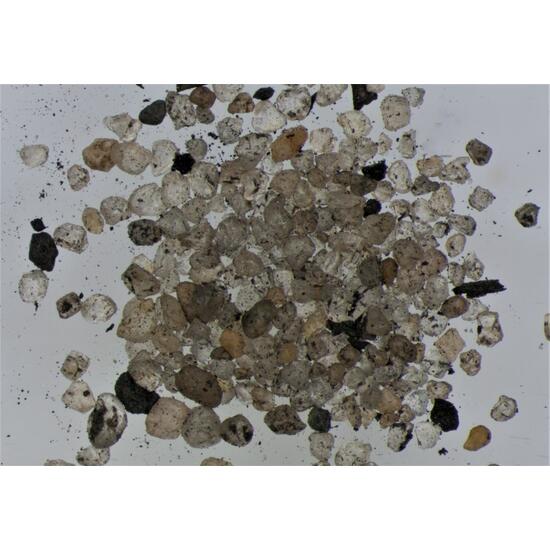 Native Nickel