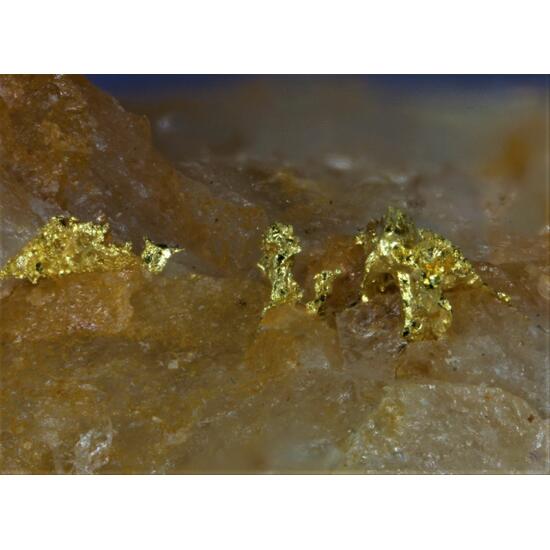Gold