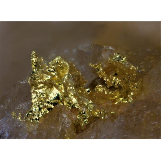 Gold
