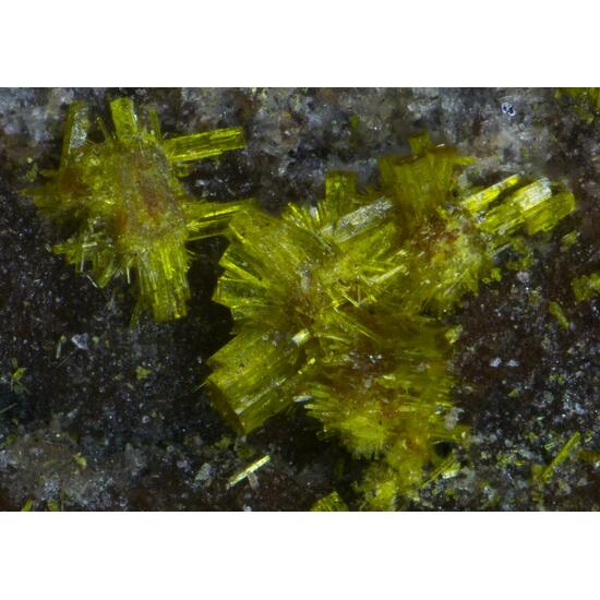 Ianthinite Schoepite Phosphuranylite Fourmarierite & Uraninite