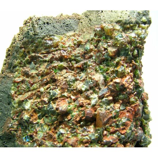 Fayalite