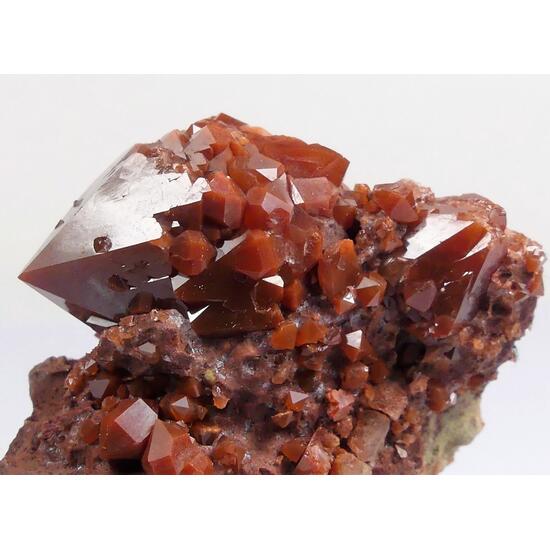 Jacinto de Compostela Quartz