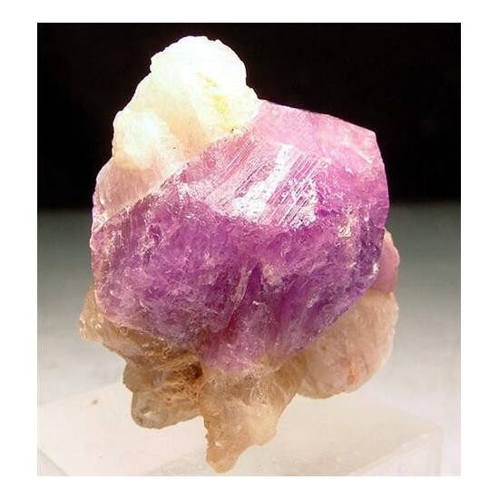 Hackmanite & Winchite