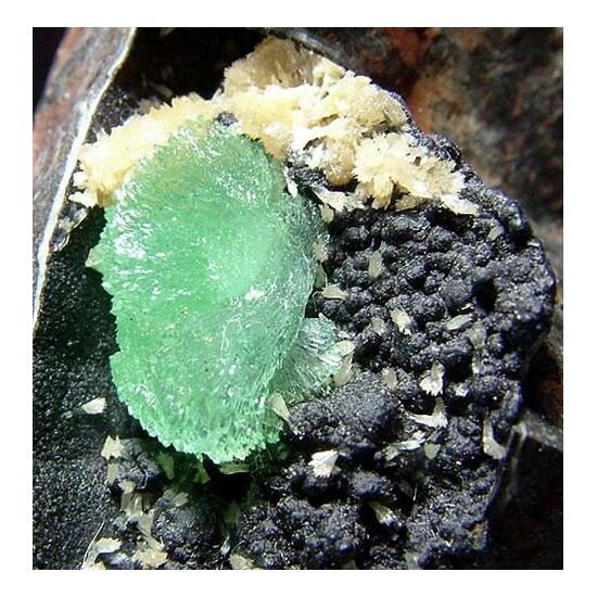 Anapaite