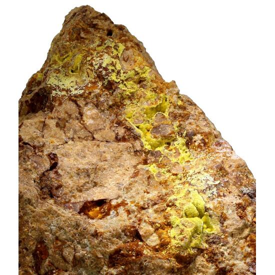 Parsonsite