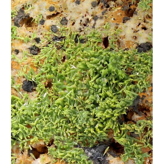 Pyromorphite