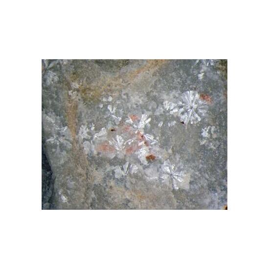 Vantasselite