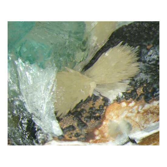 Anapaite