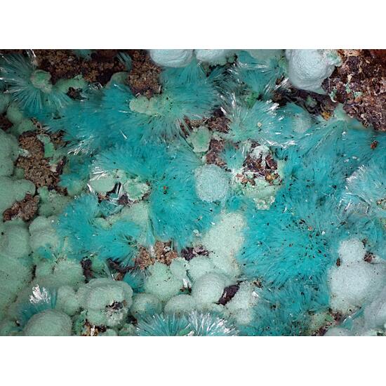Aurichalcite & Rosasite