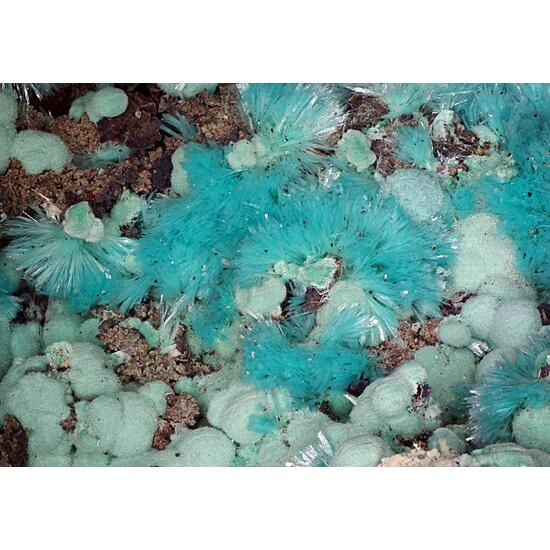 Aurichalcite & Rosasite