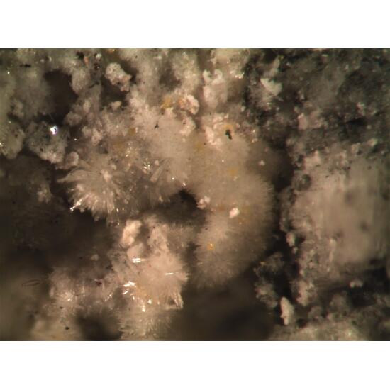 Adranosite-(Fe) & Adranosite-(Al) & Sassolite