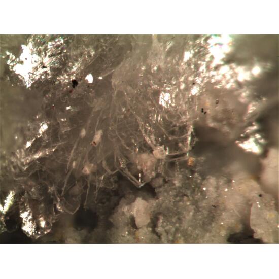 Adranosite-(Fe) & Adranosite-(Al) & Sassolite