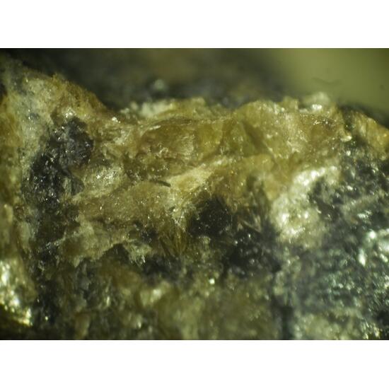 Balestraite
