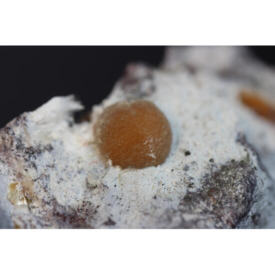 Ferrierite