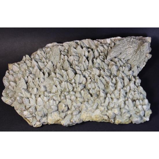 Chabazite & Calcite