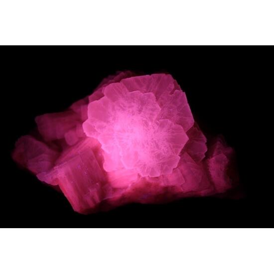 Aragonite