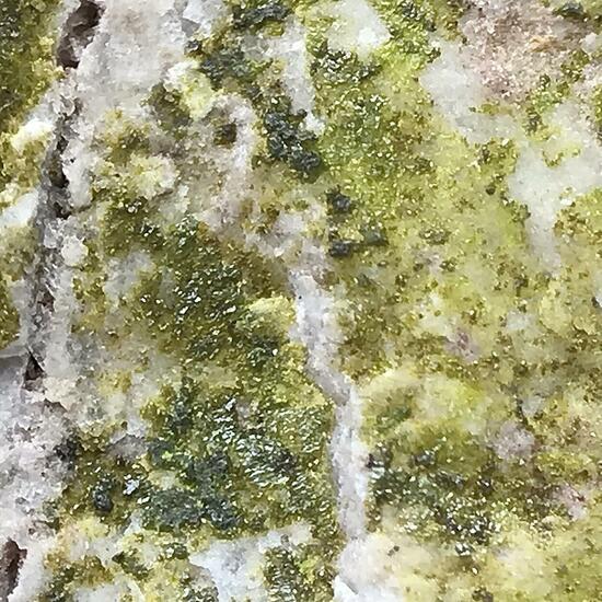 Fornacite