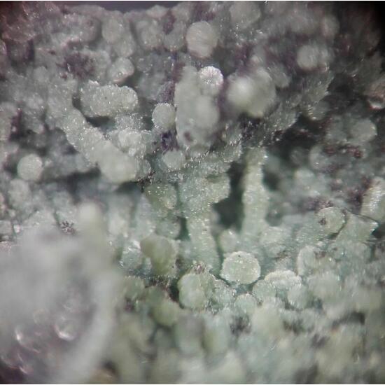 Lizardite