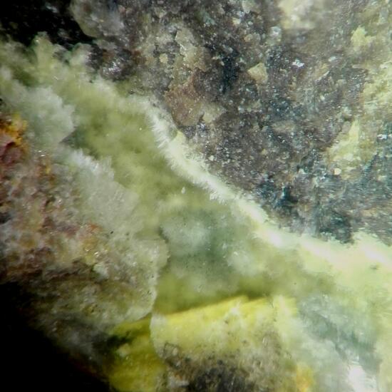 Shabaite-(Nd) & Kamotoite-(Y)