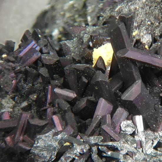 Enargite