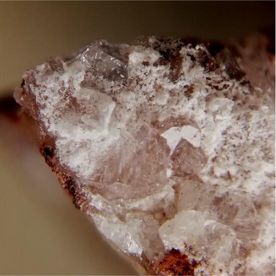 Caracolite