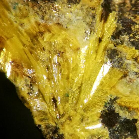 Astrocyanite-(Ce) & Kamotoite-(Y)