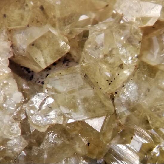 Andradite Var Topazolite