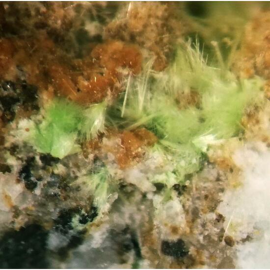 Creaseyite