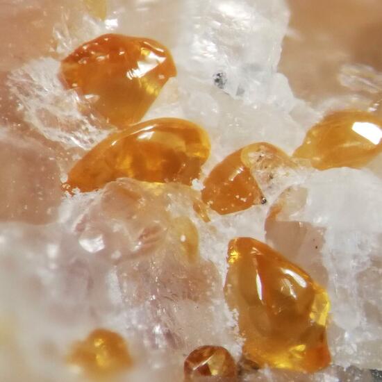 Chondrodite