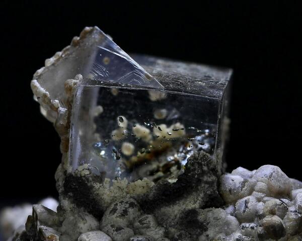 Content image: My Photo of the day